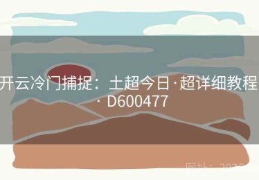 开云冷门捕捉：土超今日·超详细教程 · D600477