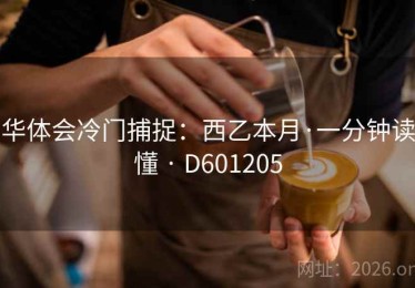 华体会冷门捕捉：西乙本月·一分钟读懂 · D601205