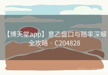 【博天堂app】意乙盘口与赔率深解：全攻略 · C204828