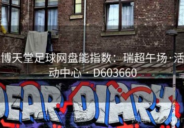 博天堂足球网盘能指数：瑞超午场·活动中心 · D603660
