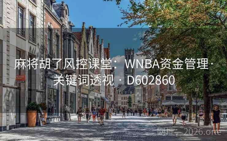 麻将胡了风控课堂：WNBA资金管理·关键词透视 · D602860