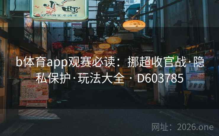 b体育app观赛必读：挪超收官战·隐私保护·玩法大全 · D603785