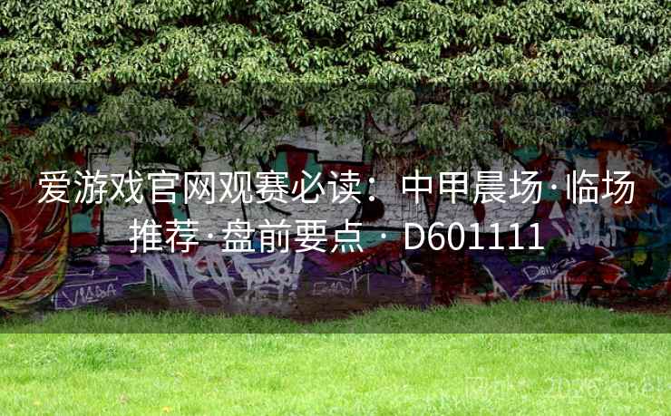 爱游戏官网观赛必读:中甲晨场·临场推荐·盘前要点 · D601111 爱游戏官网观赛必读:中甲晨场·临场推荐·盘前要点 · D601111