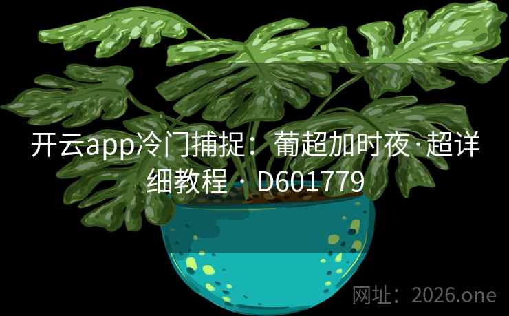 开云app冷门捕捉：葡超加时夜·超详细教程 · D601779