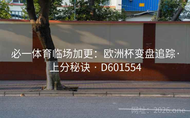 必一体育临场加更：欧洲杯变盘追踪·上分秘诀 · D601554