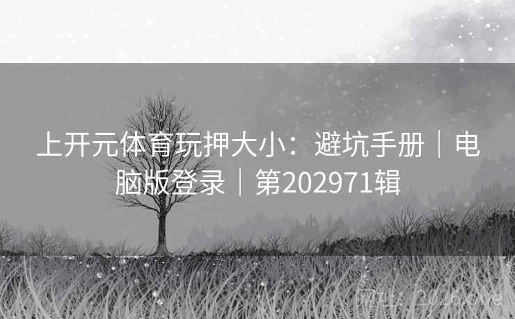上开元体育玩押大小：避坑手册｜电脑版登录｜第202971辑