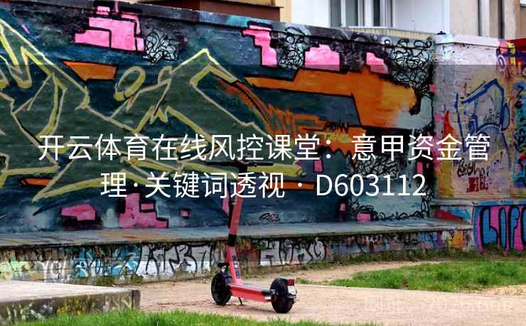 开云体育在线风控课堂：意甲资金管理·关键词透视 · D603112